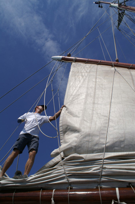 Furling sails
